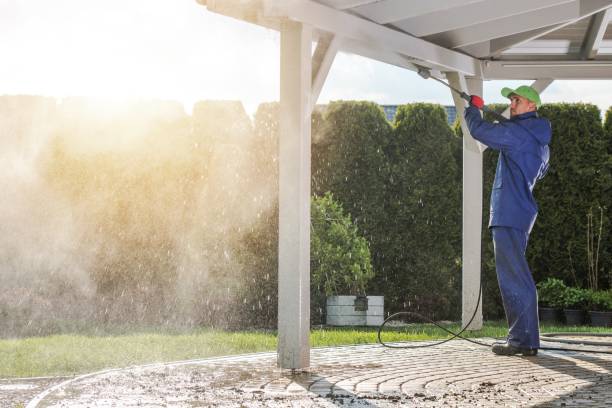 Best Fleet Vehicle Washing  in Tower Lakes, IL