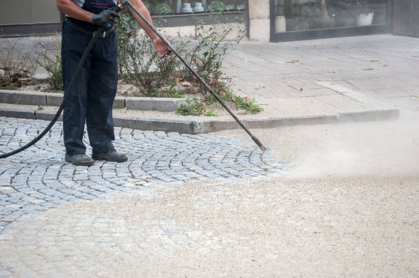 Best Building Exterior Washing  in Tower Lakes, IL