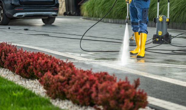 Best Dumpster Area Cleaning  in Tower Lakes, IL